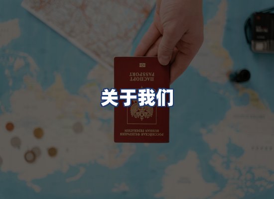 关于我们